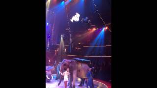 Casselly tripple backflip , cirque d'hiver