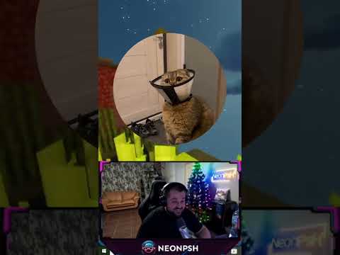 https://www.twitch.tv/neonpsh ежемесячные турниры и розыгрыши на пополнение стим кошелька !