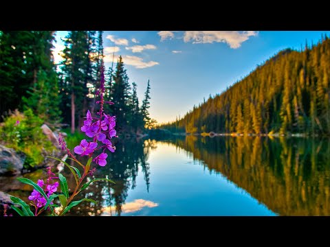 Morning Music Best || 早上最適合聽的輕音樂 - 美妙的音樂 - 純鋼琴輕音樂 - 轻松的钢琴音乐 - 放鬆音樂