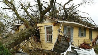 Amazing Dangerous Idiots Fastest Chainsaw Cutting Tree Fails, Big Tree Falling on Houses Compilation