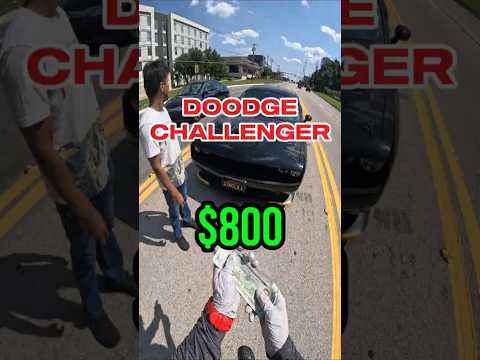 🇺🇲 DOODGE CHALLENGER 🚛 #carhauler #cdl #truckdriver #кархолер #доставкаавто #автомобили #работавсша