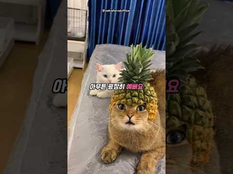 장원영이 롯데월드에 나타났다