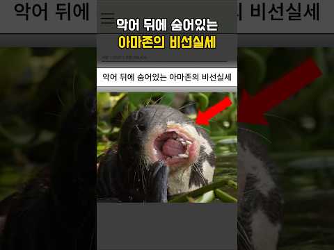 악어 뒤에 숨어있는 아마존의 비선실세