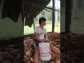 Análisis de un Video Musical