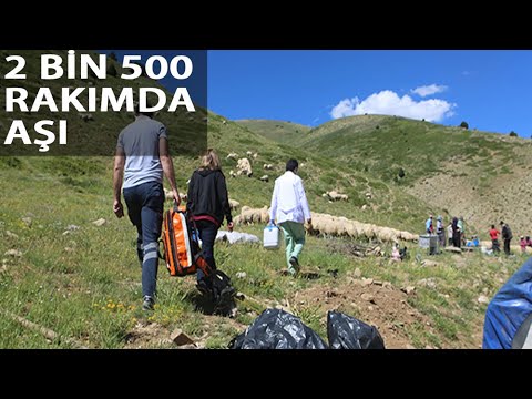 Aşı Timleri, 2 Bin 500 Rakımlı Yaylada