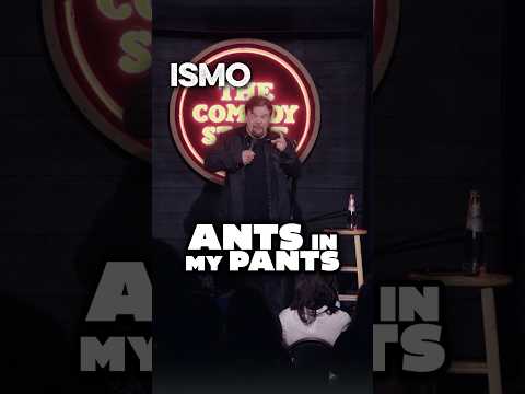 ISMO | Ants in my Pants