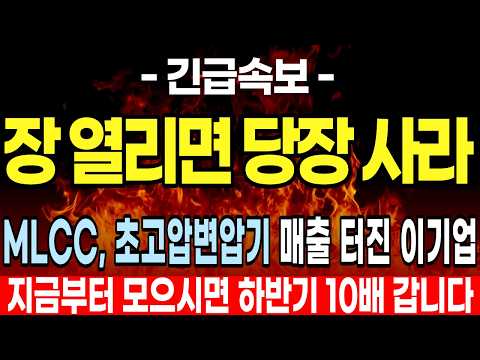 [주식추천] <strong>MLCC</strong>, 초고압변압기 사업으로 매출터진 이 기업 하반기에 10배 간다
