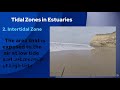 Understanding Estuaries and Their Importance