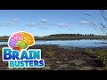 Water Cycle and Wetlands Concepts