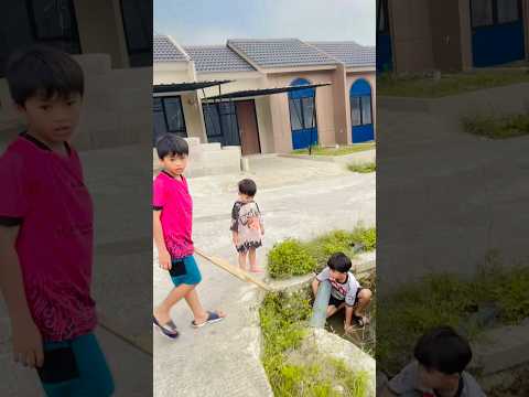 AMBIL BOLA DI GORONG GORONG #youtubeshorts #youtube