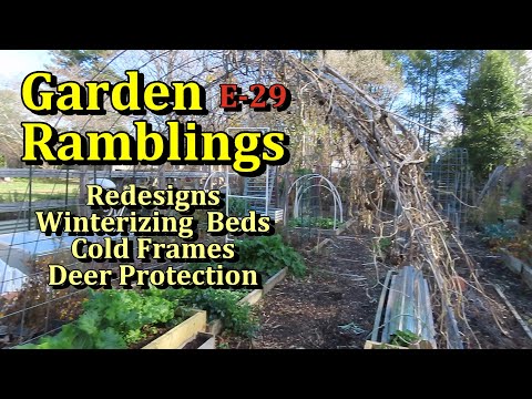 Winterizing Garden Beds, Cold Frames, Deer Protection & Tour (Garden Ramblings E-29)