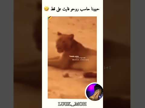 أبوني معاك كاين جديد 😘✨