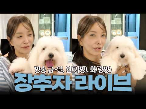 2026.10.05 장추자 라이브 - 갈치조림&amp;<strong>동그랑땡</strong>~♡♡