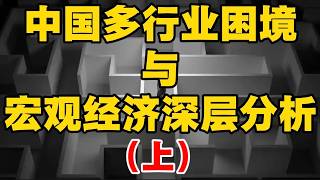 中国多行业困境与宏观经济深层剖析。。。！！！（上）