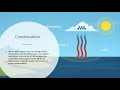 Understanding the Water Cycle