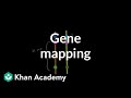Exploring Gene Mapping and Biomolecules