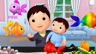 Rainbow Fish Colors Song 🌈 Learn Colors with Fish! | Fun & Soothing Songs for Little Ones