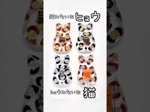 猫みたいなヒョウ🐆ヒョウみたいな猫🐈