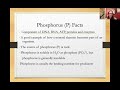 Nitrogen and Phosphorus Cycle Concepts