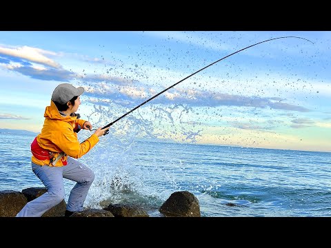 どうしても釣ってみたい！！全身トロみたいな「巨大魚」を狙う。