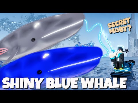 SUPER!! Mancing PAUS RAKSASA Dari BLUE WHALE Migration & Teori Moby Secret 🐳🔥🐳 | Fisch Indonesia