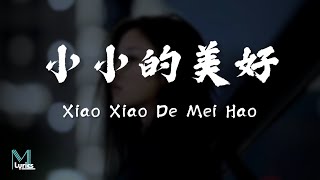Lu Hai Ni (呂海妮) - Xiao Xiao De Mei Hao (小小的美好) Lyrics 歌词 Pinyin/English Translation (動態歌詞)