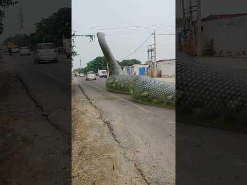 Big Anaconda Snake on Video 2 ๐๐ #snake #Shorts