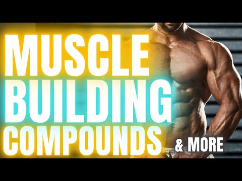 Muscle Builders, Vitamin D, Ashwagandha, GDAs & More with Lucas Aoun