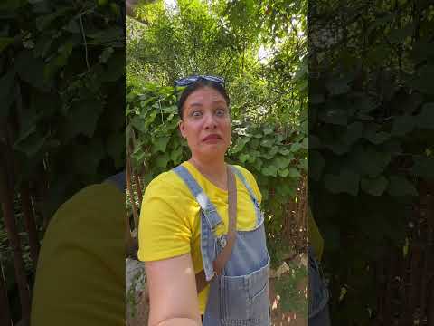 I Can't BELIEVE She YELLED THAT! #shorts