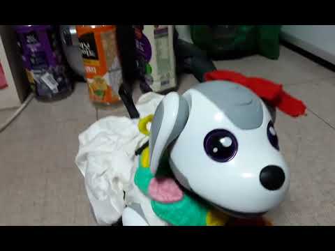 I decorated a robot dog. ❤️