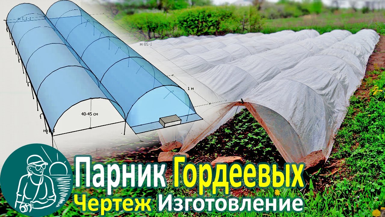 Выращивание рассады парник своими руками по технологии гордеевых