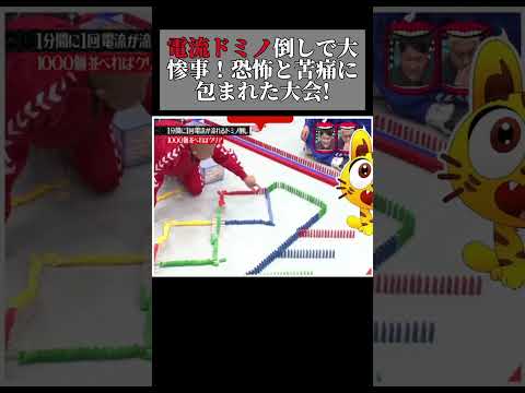 1分間に1回 電流が流れるドミノ倒し! #水曜日のダウンタウン #お笑い #ダウンタウンなう#shortvideo  #面白い #吉本自宅劇場 #切り抜き