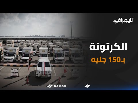 الكرتونة بـ150جنيه.. جهاز مستقبل مصر يوزع 30 مليون بيضة تركية في جميع المحافظات