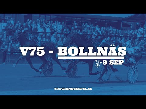 V75 tips Bollnäs 9/9 |  Tre S: Strålande rapporter – spik!