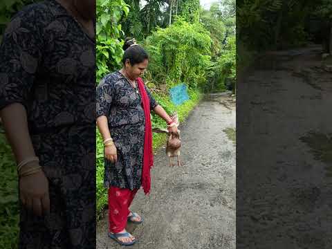 Magic happened🤪#funny #bangladesh #comedyvideos #trendingshorts #trending #trend #shortsfeed