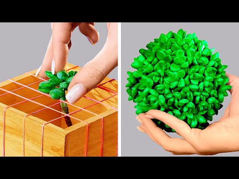 How to Grow Your Dream Garden 🍀 Gardening Hacks & Plant Care