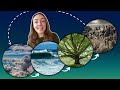 Microbial Contributions to Biogeochemical Cycles