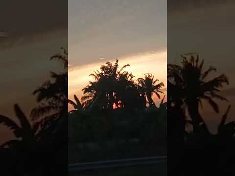 Sunset On The Road #sunrise #night