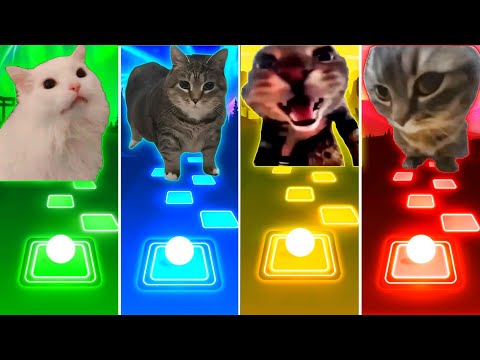 Coffin Dance Cat vs Oiiaoiia Cat vs Doorbell Cat vs Chipi Chipi Chapa Chapa Cat - Tiles Hop EDM Rush