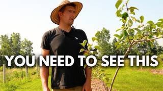 We Have Some BIG JOBS on The Farm! 