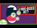 Understanding Virus-Based Diets and Protists