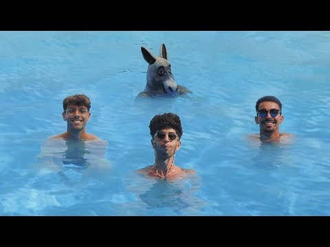 LOCOPLAYA - LOS ANIMALES (Vidéo)