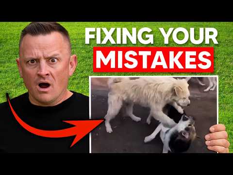 Dog Attacks Caught on Camera — Here’s What to ACTUALLY Do!