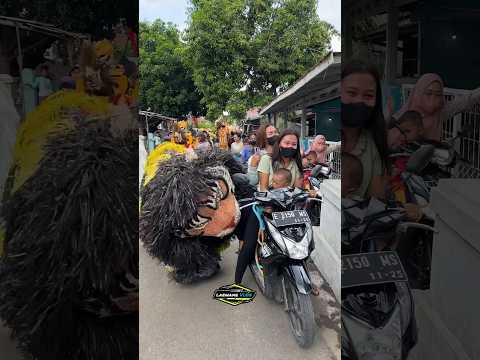 Cewek Cantik Di GIGIT Can Macanan #shorts#shortvideo