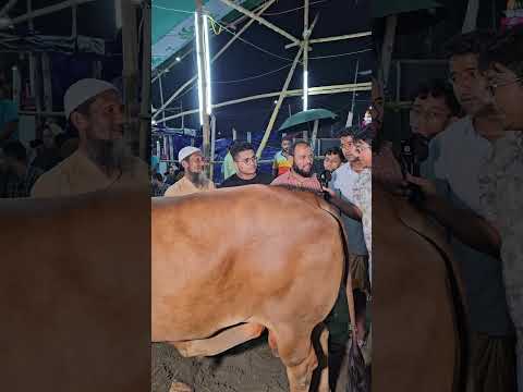 ঈদের আগের দিন রাতে ৪ লক্ষ টাকায় বড় গরু ক্রয় করে খুশি ক্রেতা