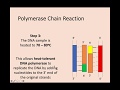 PCR and DNA Replication Concepts