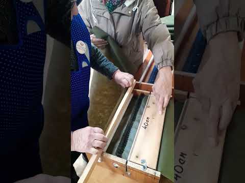 Надежда Никитична показывает мишелёвцам, как надо разрезать спанбонд на станке #победа #волонтеры