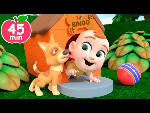 Bingo Dog | Bingo Song and MORE Educational Nursery Rhymes & Kids Songs