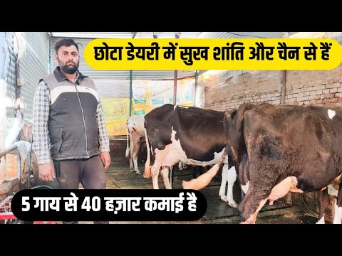 प्राइवेट नौकरी छोड़ 1 पशु से शुरू किए फार्म/small dairy farm/dairy farm bihar/dairy farm business