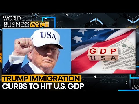 Trump Immigration Policy Costs Growth | WION Business Show | World News